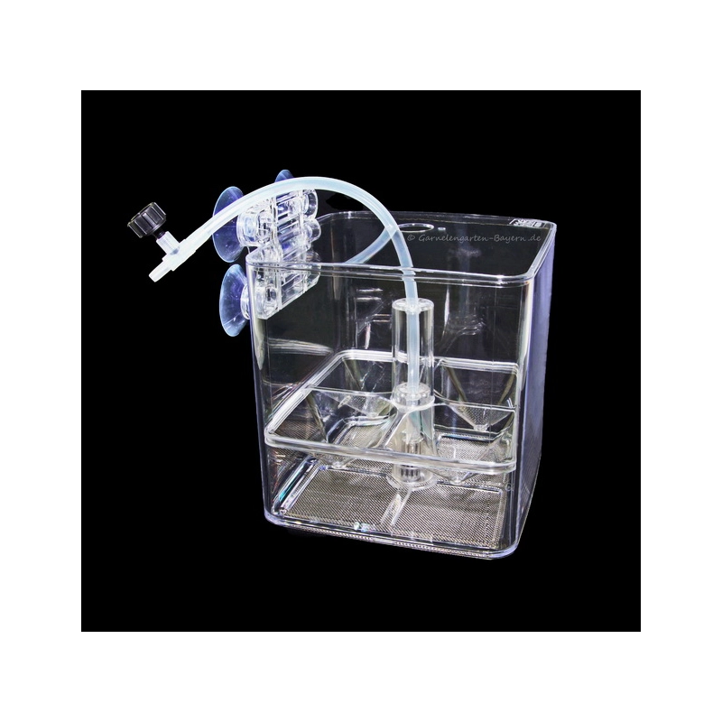 Ziss EZ Breeder GL-1T Profi Breedingbox - garnelensicher Ziss EZ Breeder GL-1T Profi Breedingbox - garnelensicher