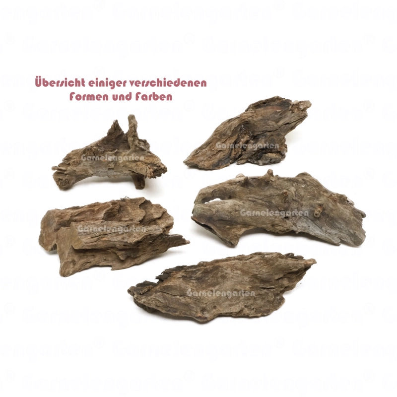 Corbo Root Pieces XS 