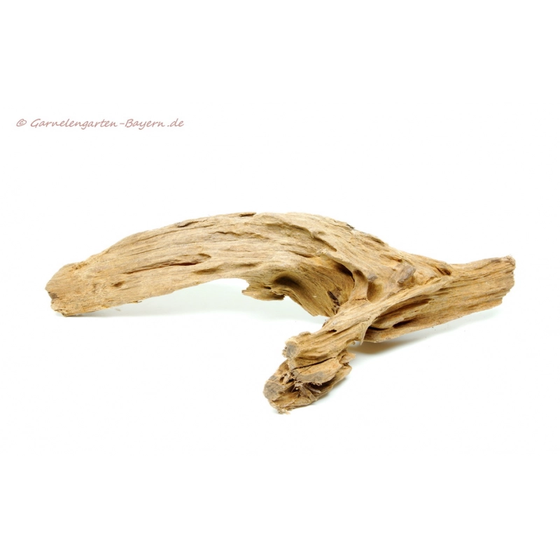 Mangroven Wurzel Medium - ca. 25-35cm
