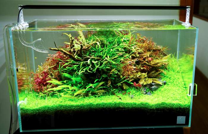 Chihiros A2 Serie LED AII351 35 cm (15 W) inkl. Bluetooth