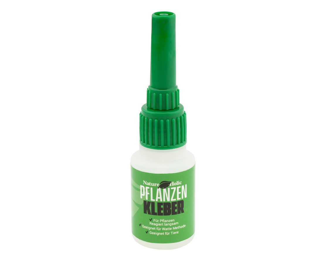 NatureHolic - Pflanzenkleber - 20g NatureHolic - Pflanzenkleber - 20g