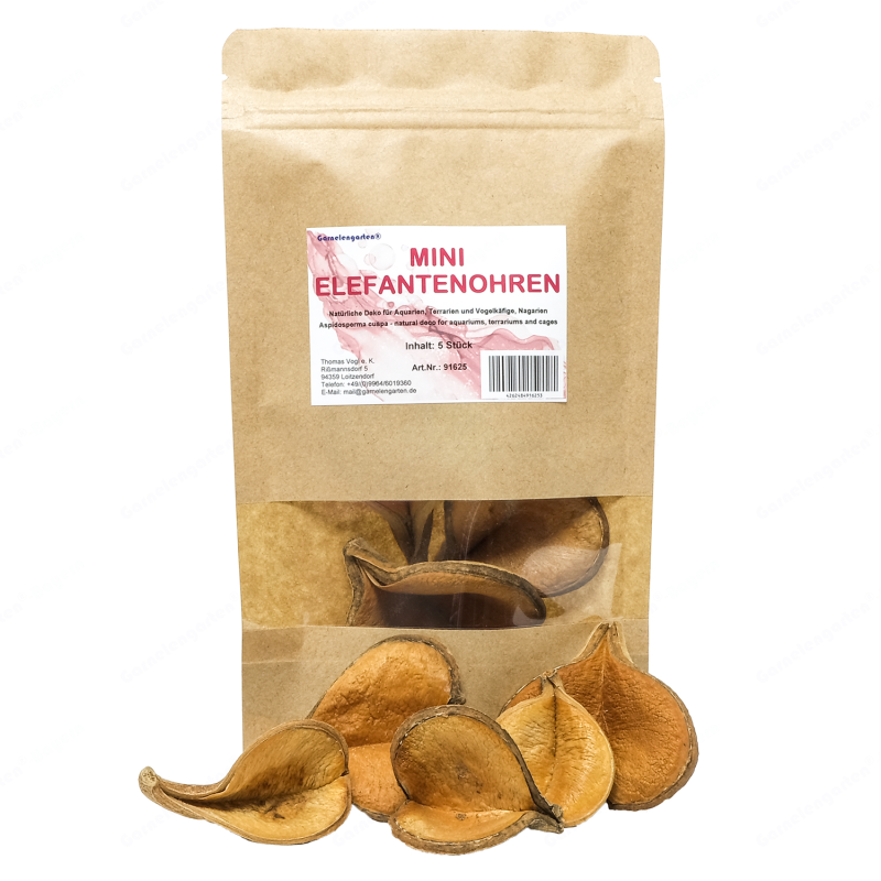 Garnelengarten® Mini Elefantenohren | 5 St.