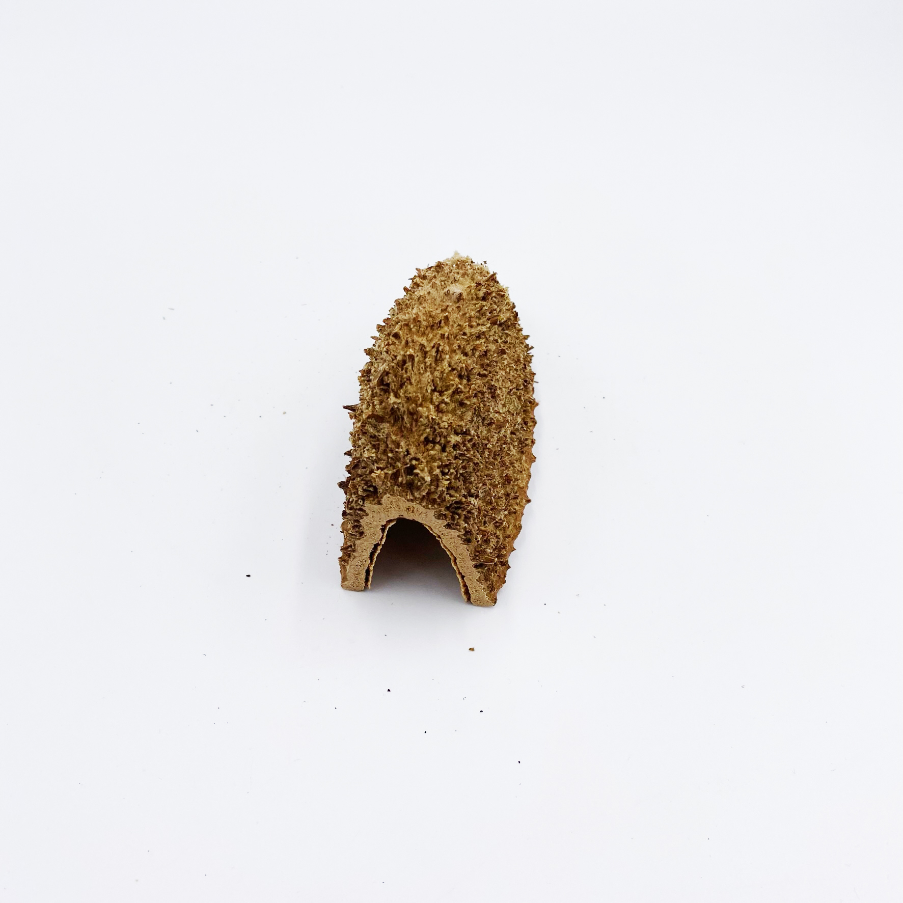 Bolsa de Pastor Höhle