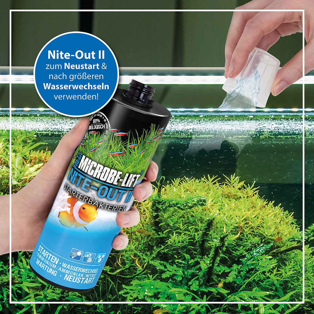 Microbe-Lift Nite-Out II - Starterbakterien 118 ml Microbe-Lift Nite-Out II - Starterbakterien 118 ml