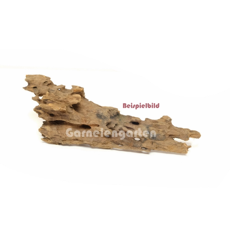 Drachenholz Dragon Wood - S - 13-30cm Drachenholz Dragon Wood - S - 13-30cm