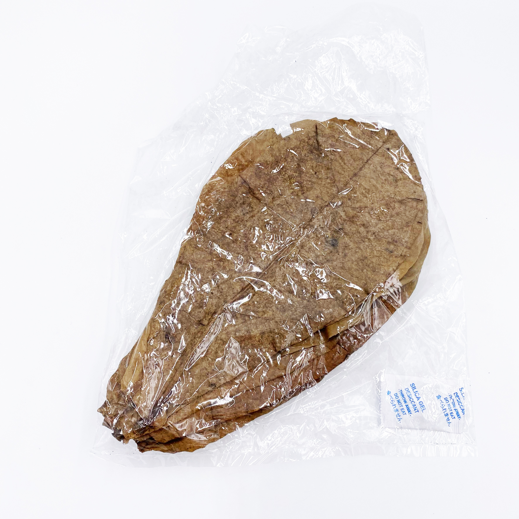 Seemandelbaumblätter XL 10 Stück