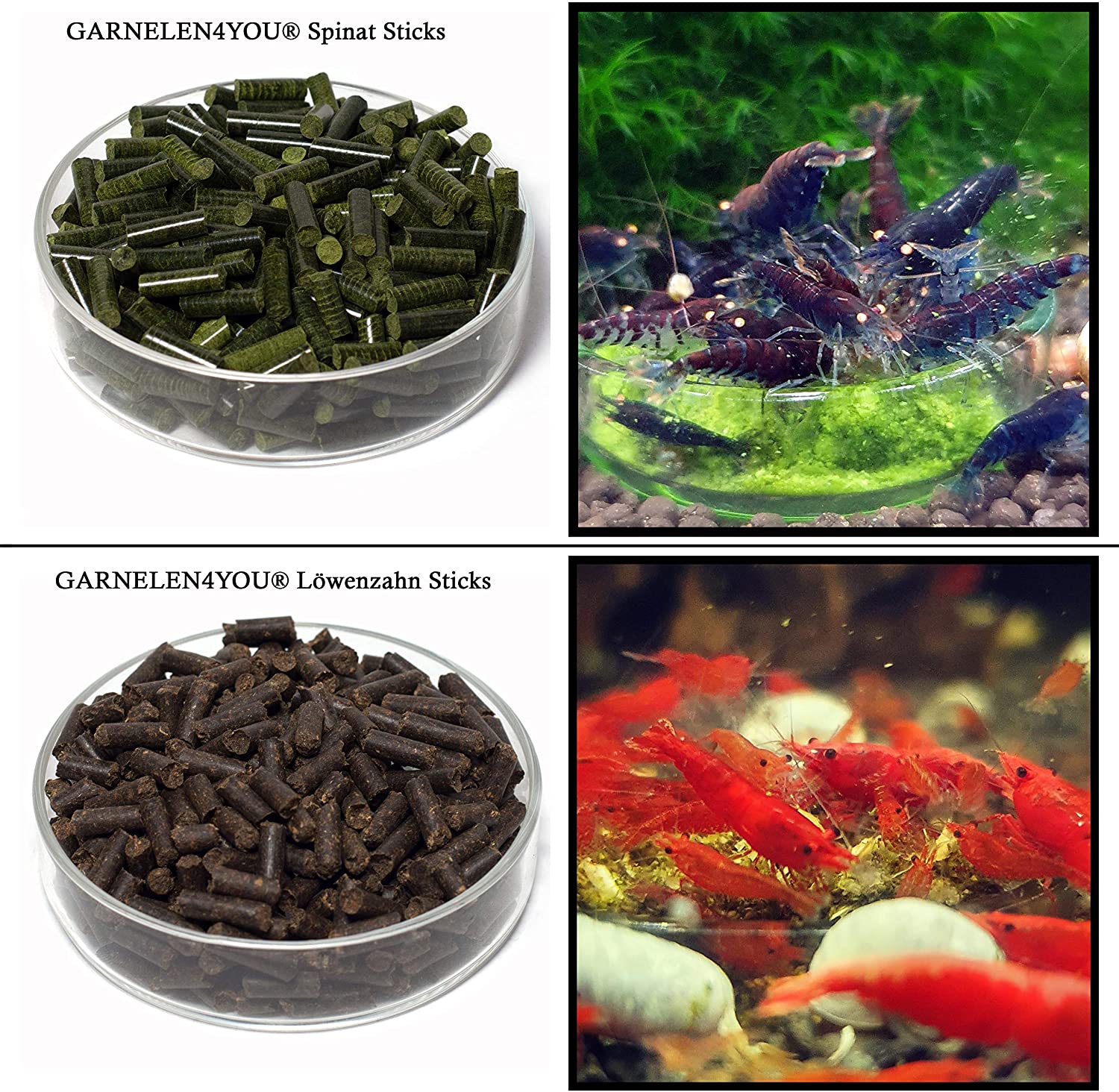 GARNELEN4YOU® 8er Probeset Futter-Sticks / Chips für Garnelen, Krebse und Schnecken | 7 Sorten Plus Seemandelbaumblätter GARNELEN4YOU® 8er Probeset Futter-Sticks / Chips für Garnelen, Krebse und Schnecken | 7 Sorten Plus Seemandelbaumblätter