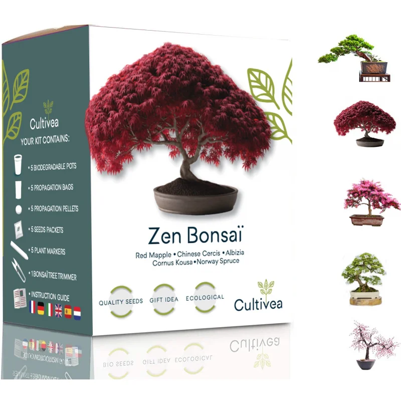 Zen Bonsai - Ready-to-Grow Kit - Bonsai Starter Set Zen Bonsai - Ready-to-Grow Kit - Bonsai Starter Set