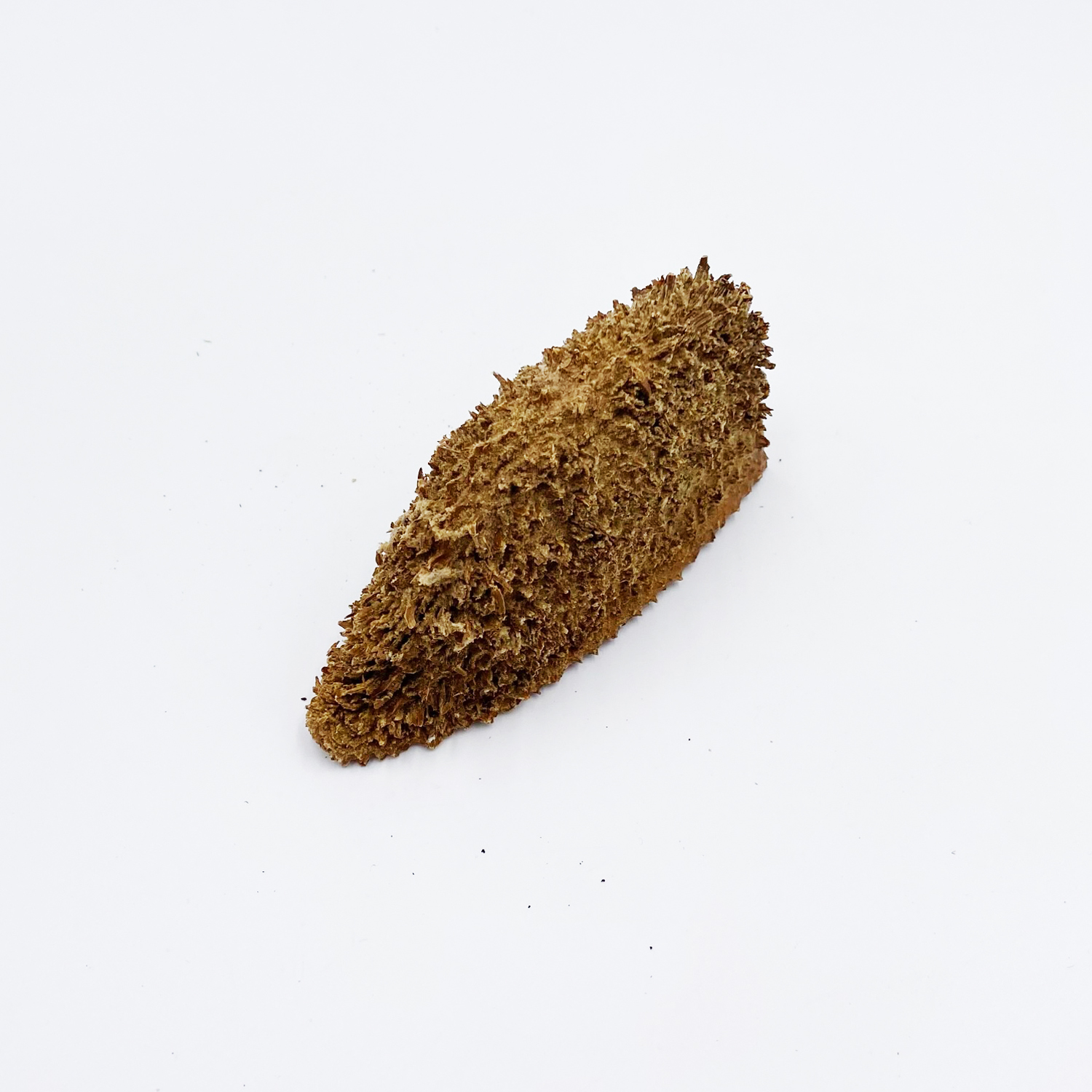 Bolsa de Pastor Höhle