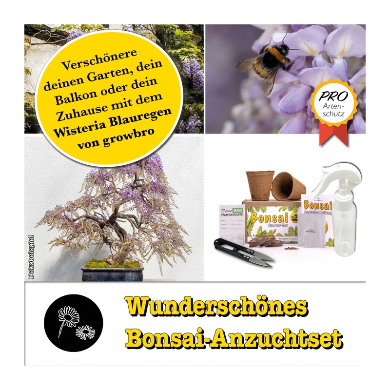 growbro Bonsai Starter Set growbro Bonsai Starter Set