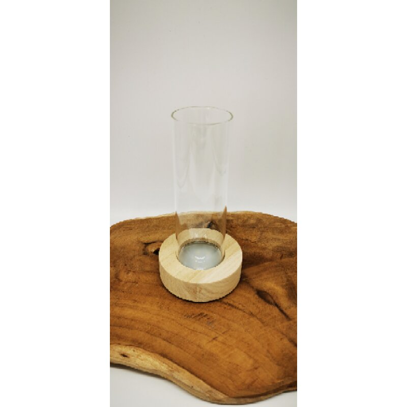 Pflanzenterrarium mit Holzfuss und LED Licht Ø8,5 cm H17 cm Pflanzenterrarium mit Holzfuss und LED Licht Ø8,5 cm H17 cm