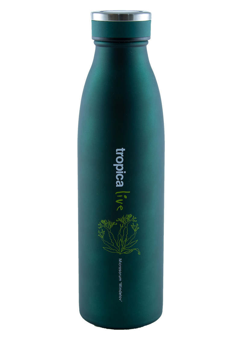 Tropica Live Water Bottle - Wasserflasche - Thermo Flasche - Motiv Microsorum Windeløv