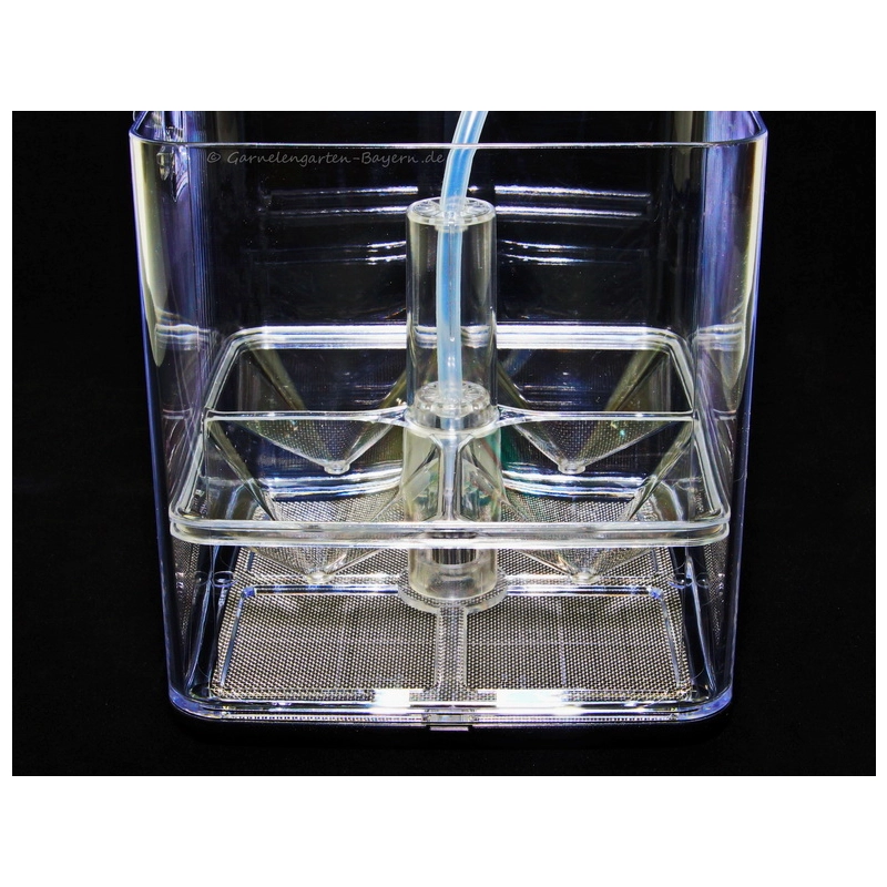Ziss EZ Breeder GL-1T Profi Breedingbox - garnelensicher Ziss EZ Breeder GL-1T Profi Breedingbox - garnelensicher