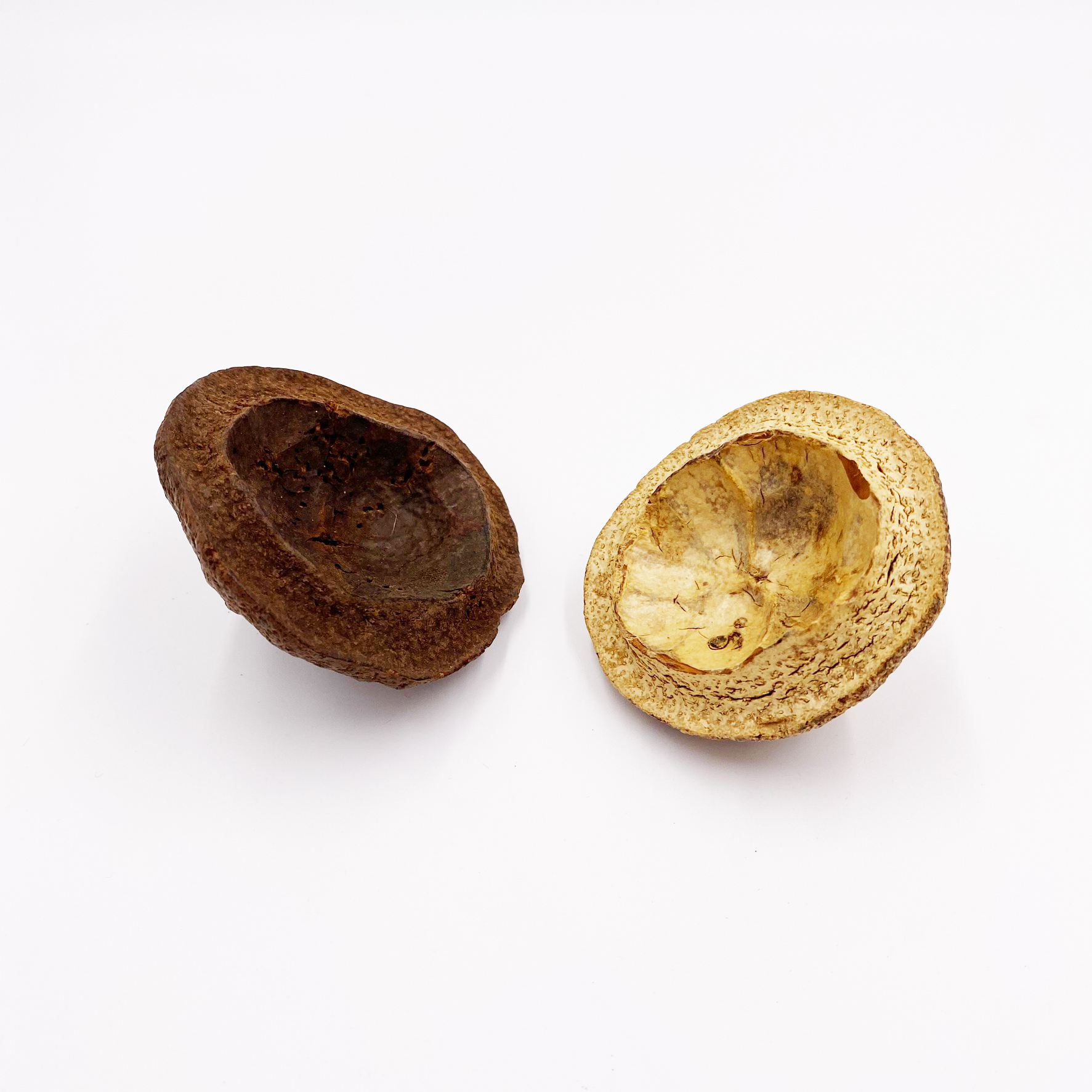 Chapeuzinho Pods 5-10 cm - Paradiesnuss Deckel