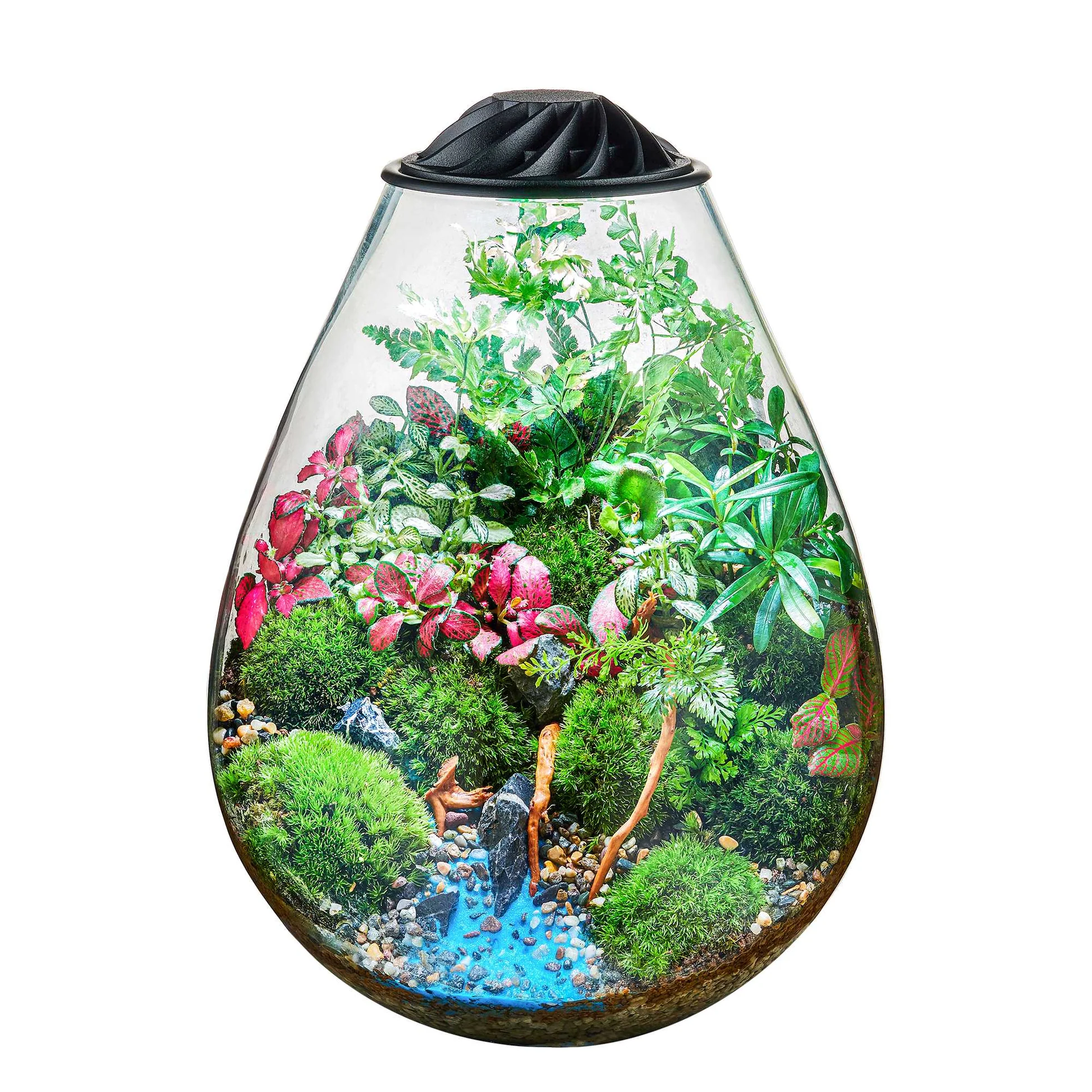 Chihiros ECO Ping Terrarium Wabi Kusa Chihiros ECO Ping Terrarium Wabi Kusa