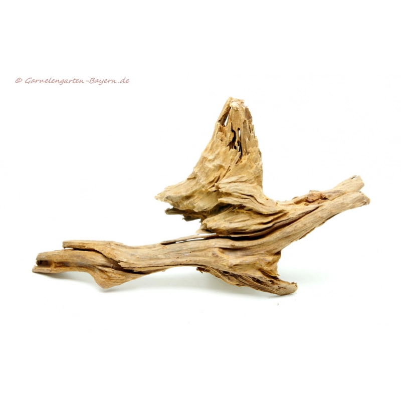 Mangroven Wurzel Medium - ca. 25-35cm