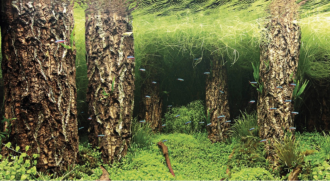 Hobby Aquarium Hintergrund Folie Scaping Hill / Scaping Forest 120x50cm Hobby Aquarium Hintergrund Folie Scaping Hill / Scaping Forest 120x50cm