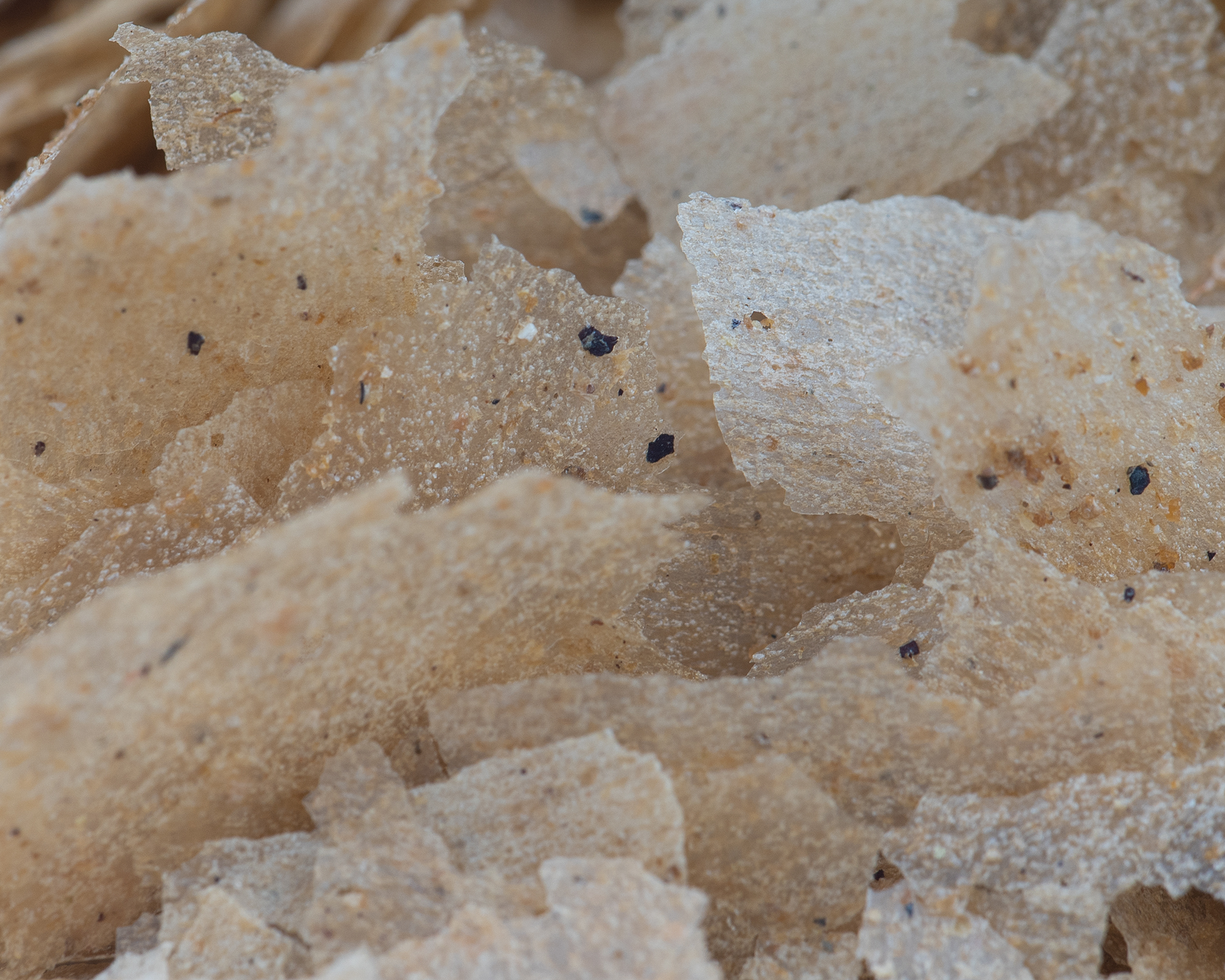 NatureHolic Pure Flakes - Tubifex - 250 ml 