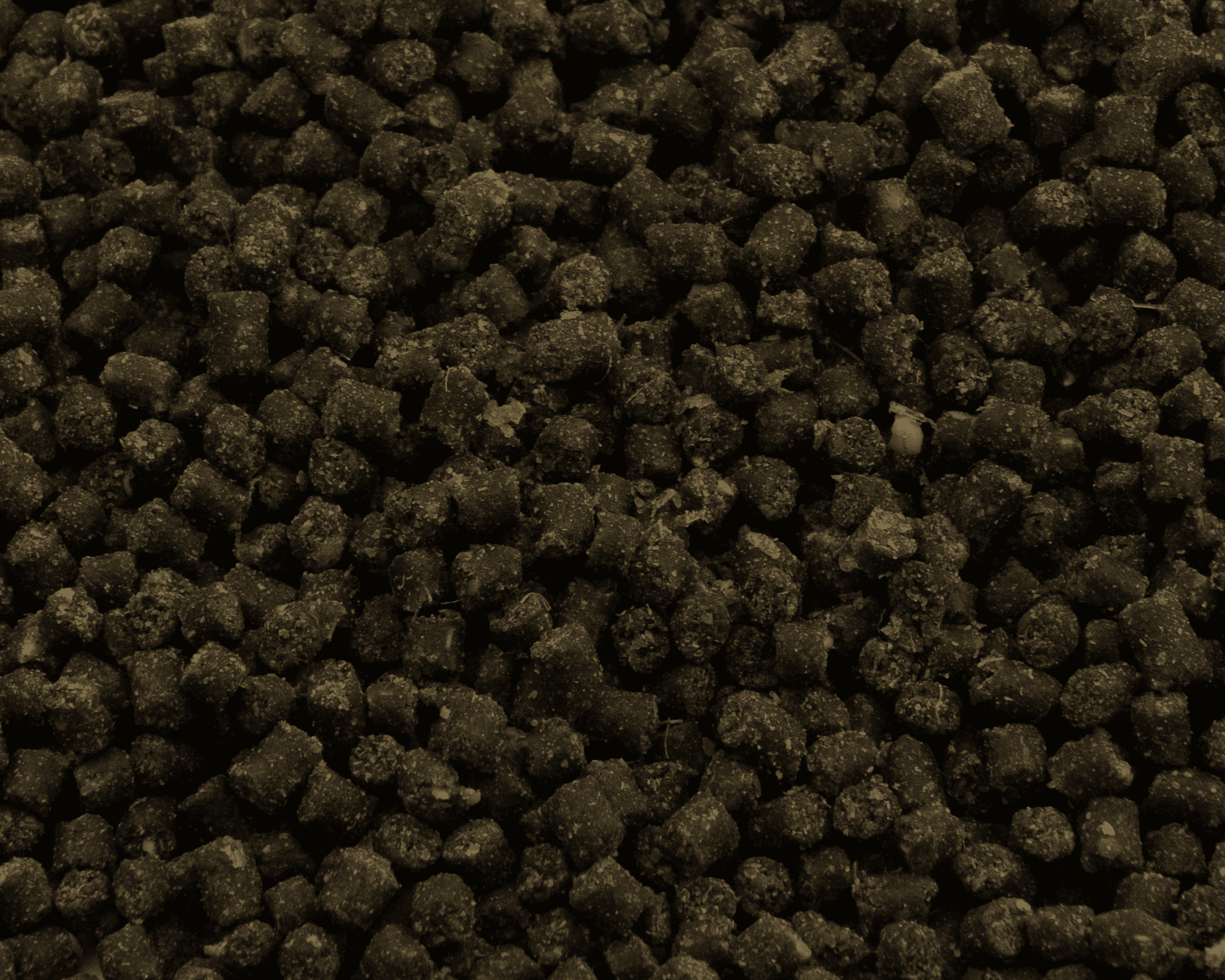 NatureHolic - Cheraxfeed JUNIOR - 30g NatureHolic - Cheraxfeed JUNIOR - 30g