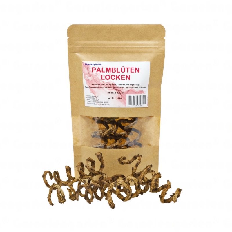 Palmblüten Locken - 5 Stück