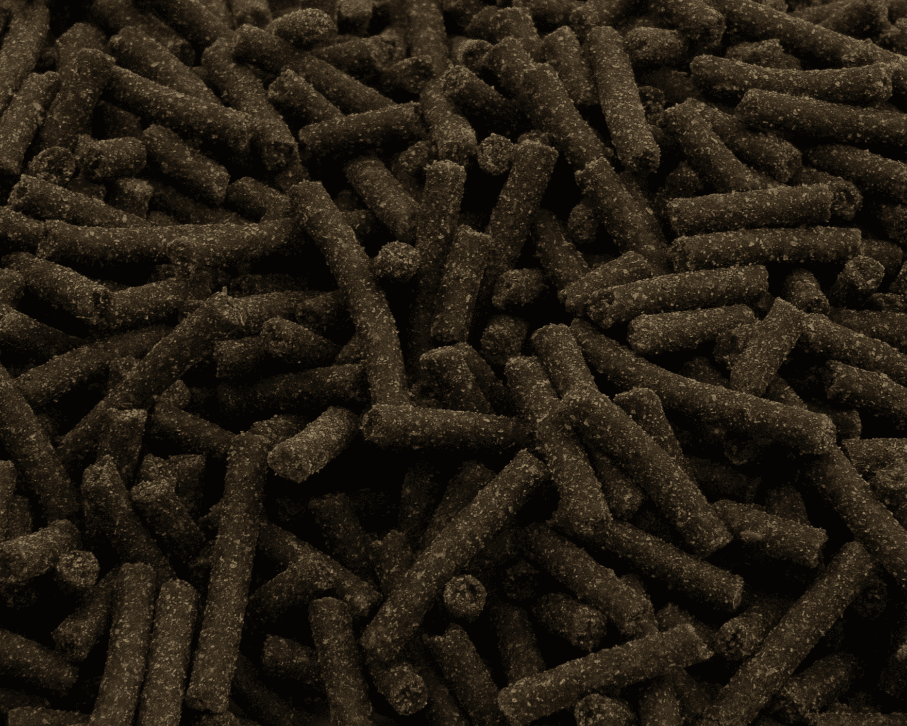 NatureHolic - Cheraxfeed ADULT - 30g NatureHolic - Cheraxfeed ADULT - 30g