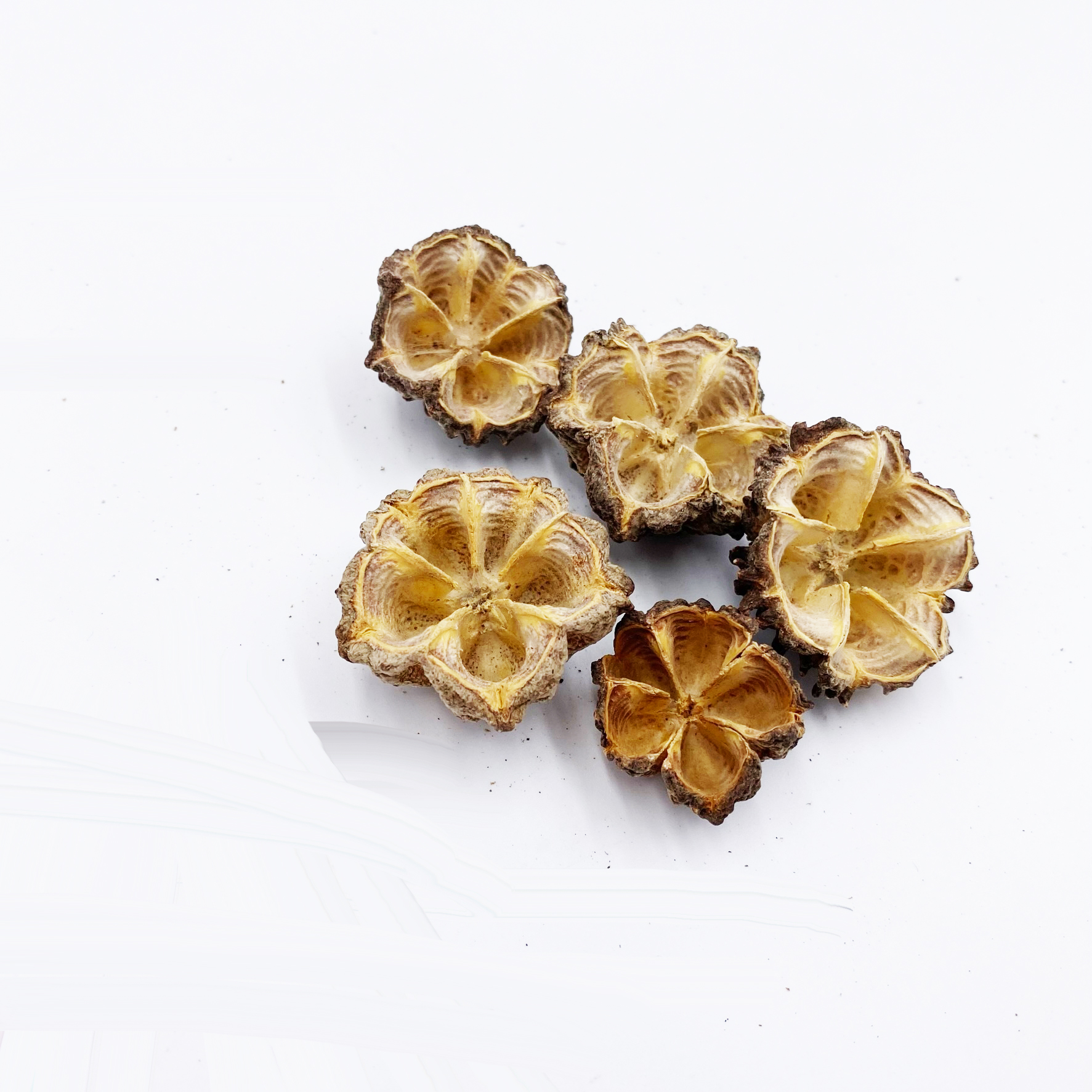 Mamoninha Kapseln | 5 Stück