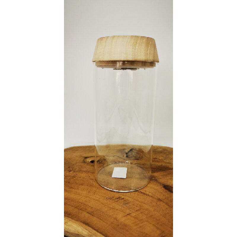 Pflanzenterrarium mit LED Licht Höhe 23 cm Ø8,5 cm Pflanzenterrarium mit LED Licht Höhe 23 cm Ø8,5 cm