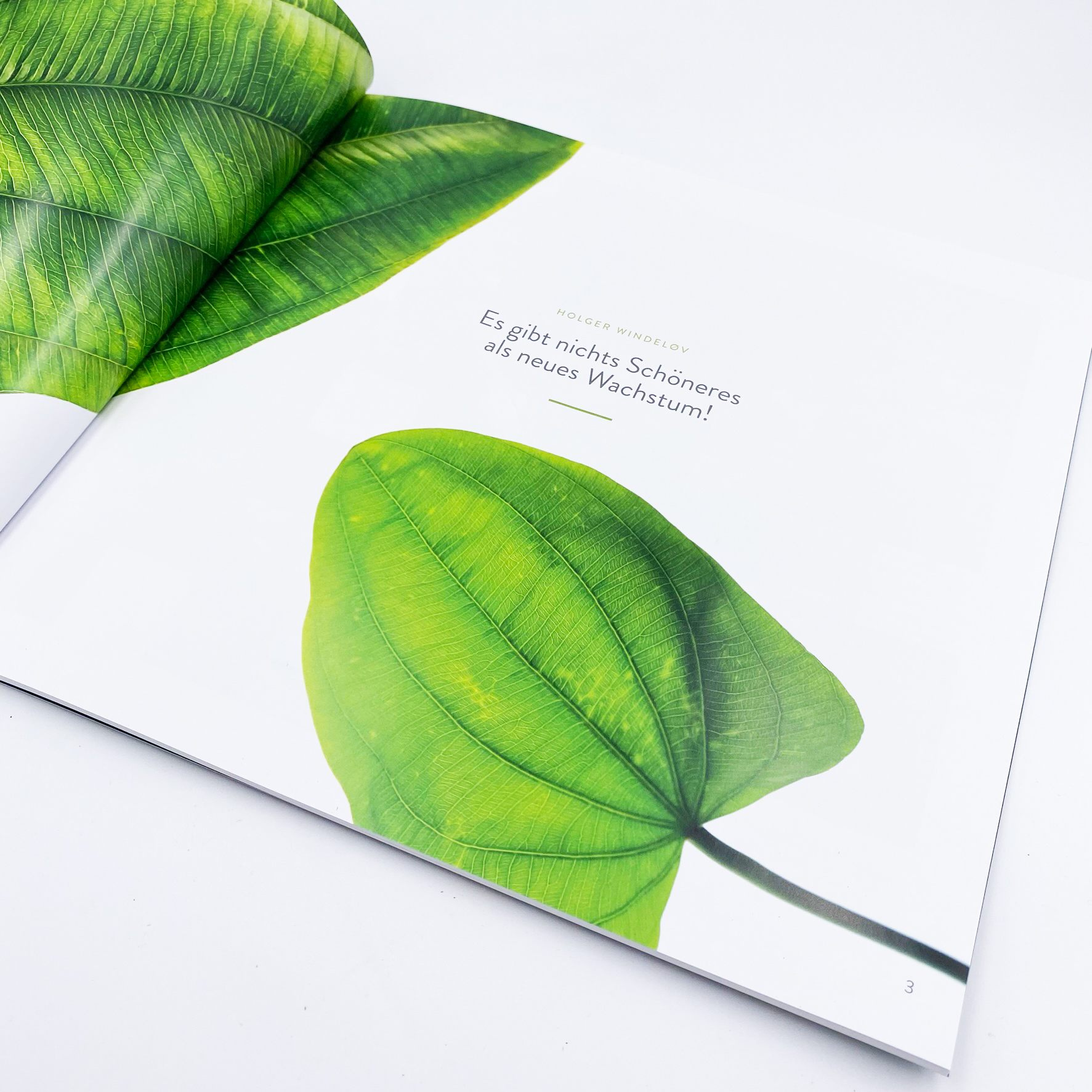 Tropica 50 Years under the Surface Buch