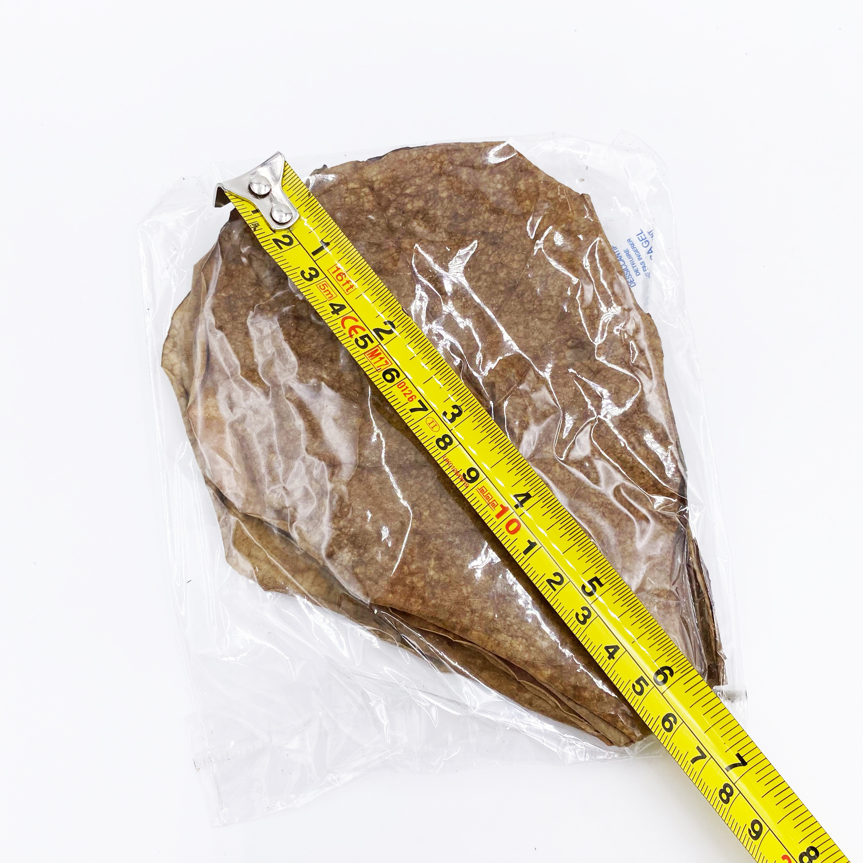 Seemandelbaumblätter 10 Stück