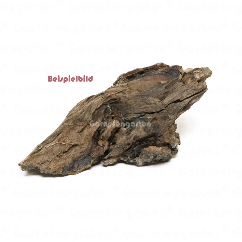 Corbo Root Pieces XS 