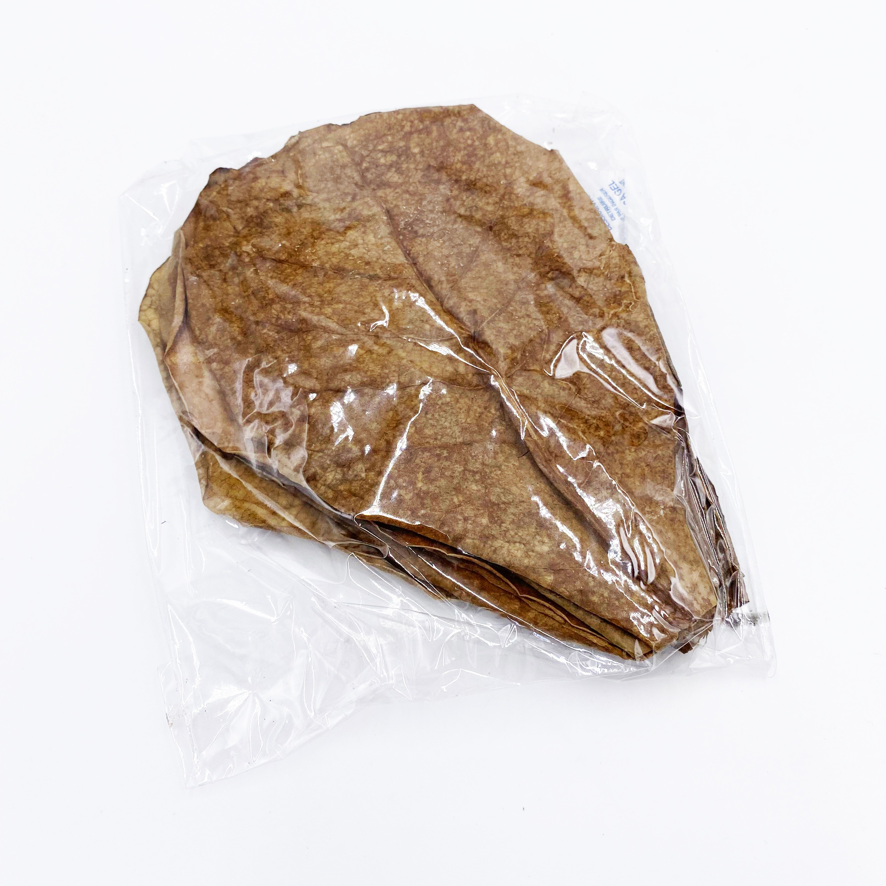 Seemandelbaumblätter 10 Stück