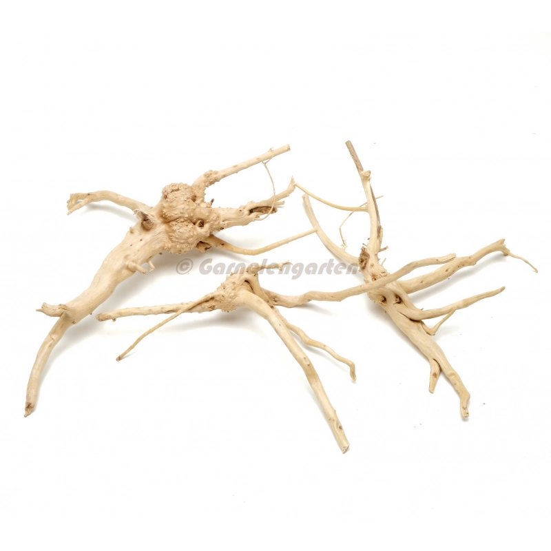 Moorwurzel - Spiderwood Nano - Fingerwurzel - 15-20cm