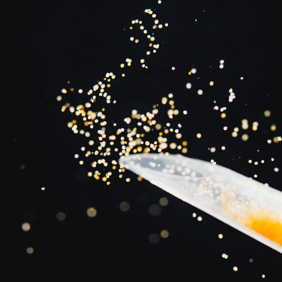 StreamBiz Pure Nature - Artemia Nauplien