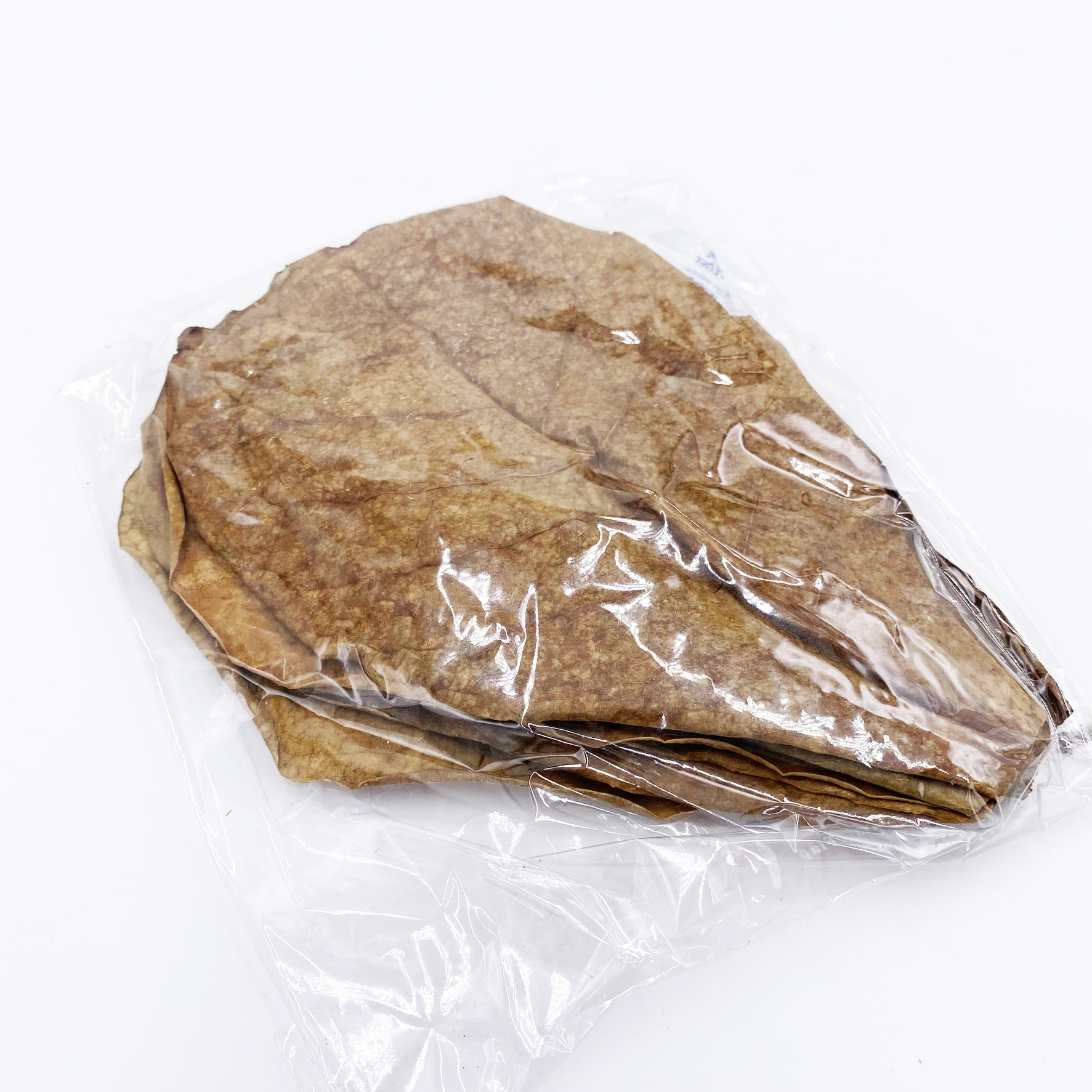 Seemandelbaumblätter 10 Stück