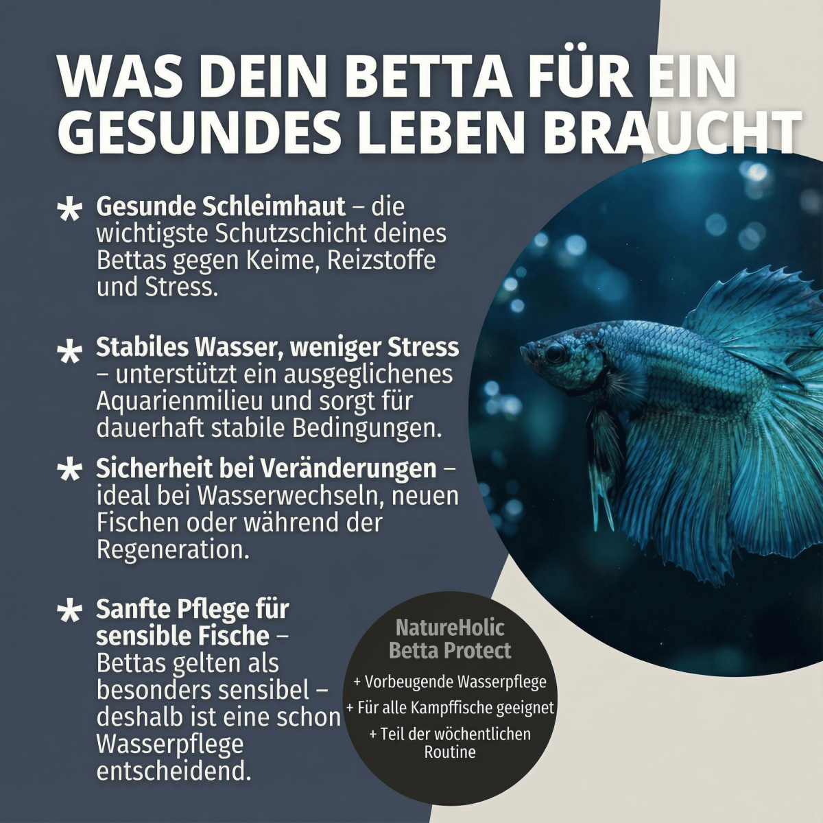NatureHolic - Betta Protect - 125ml - Wasseraufbereiter für Kampffische