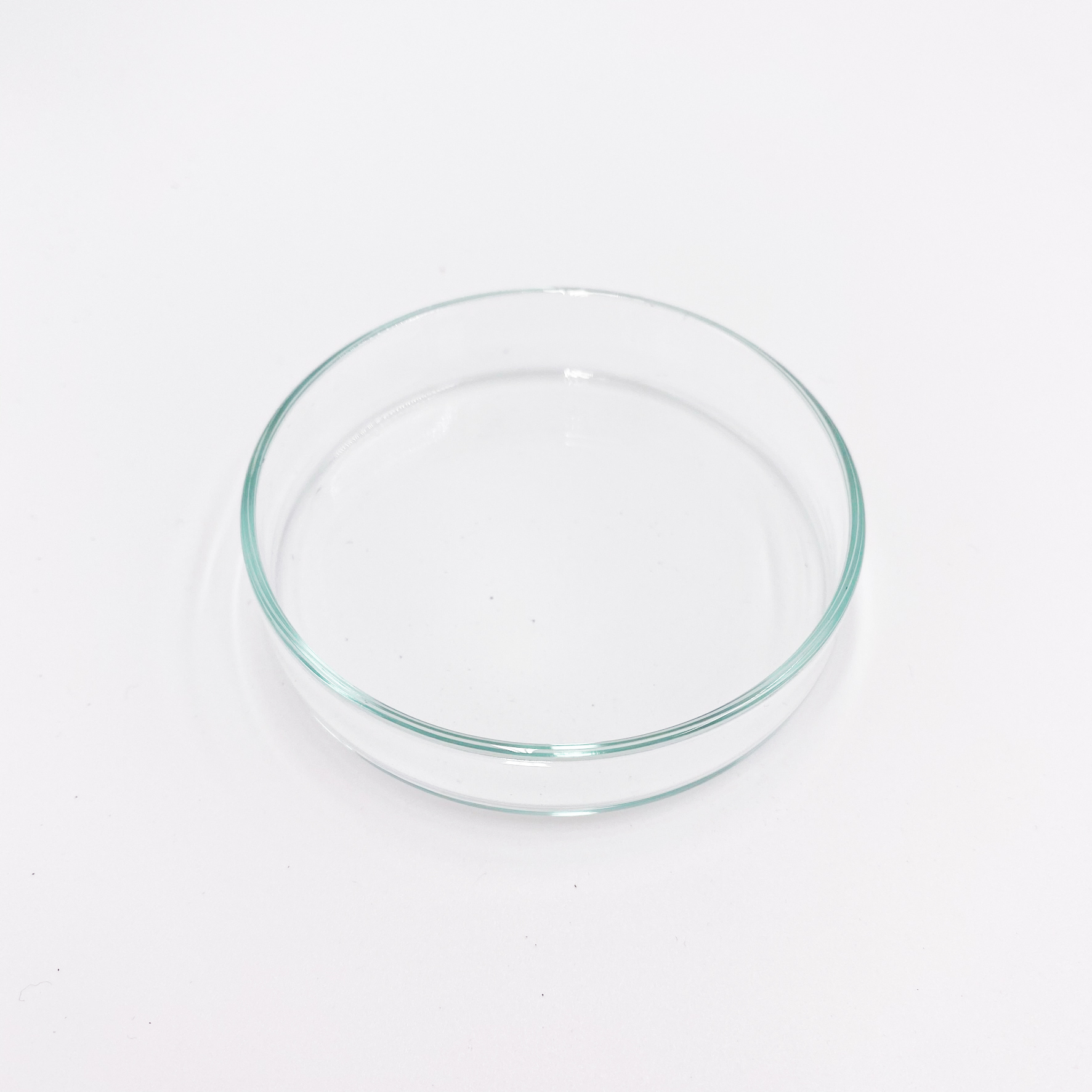 Futterschalen aus Glas 2er Set gross