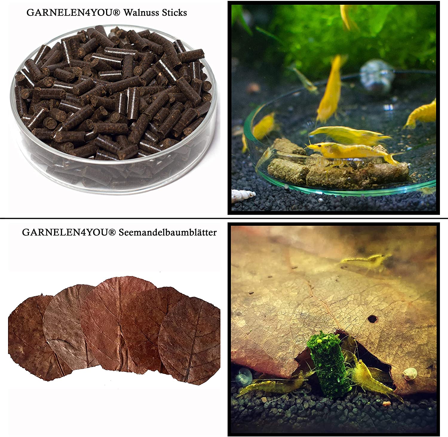 GARNELEN4YOU® 8er Probeset Futter-Sticks / Chips für Garnelen, Krebse und Schnecken | 7 Sorten Plus Seemandelbaumblätter GARNELEN4YOU® 8er Probeset Futter-Sticks / Chips für Garnelen, Krebse und Schnecken | 7 Sorten Plus Seemandelbaumblätter