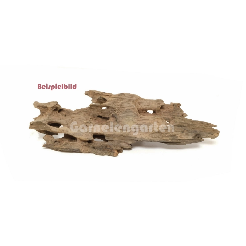 Drachenholz Dragon Wood - S - 13-30cm