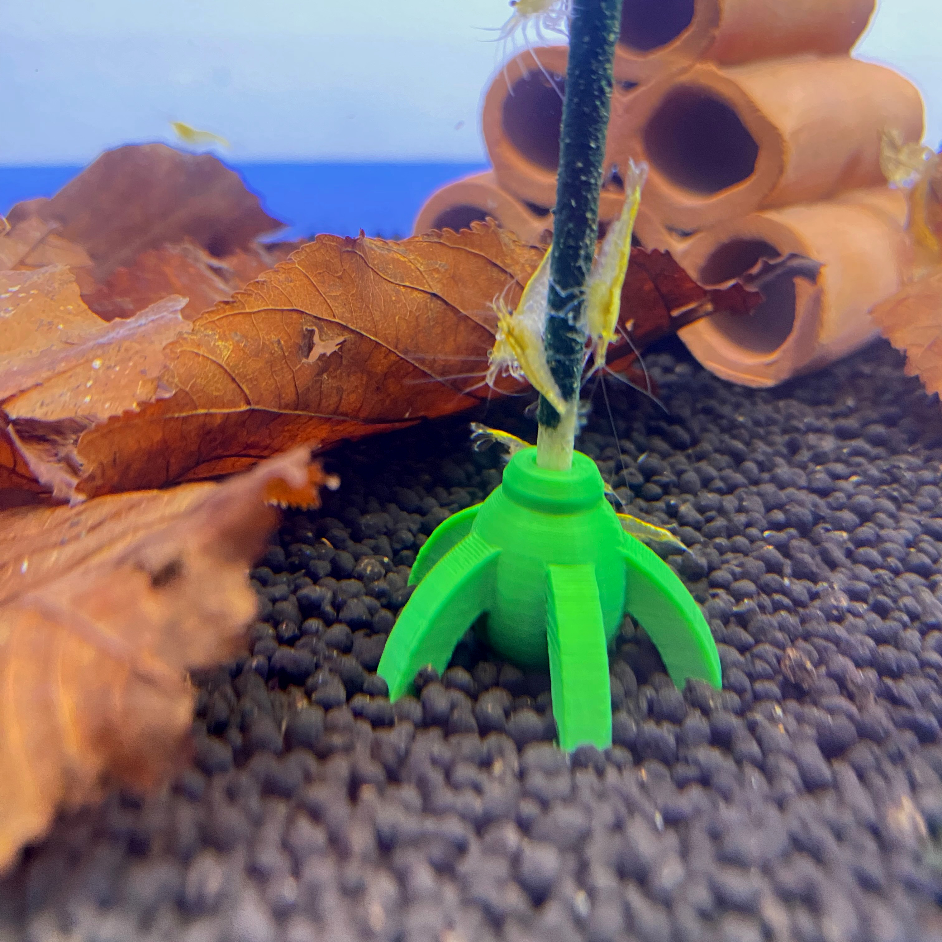Shrimp Lollies Halter für den Boden bunt Shrimp Lollies Halter für den Boden bunt