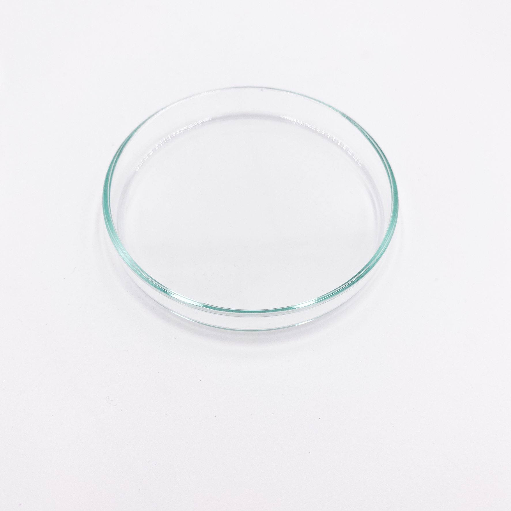 Futterschalen aus Glas 2er Set gross