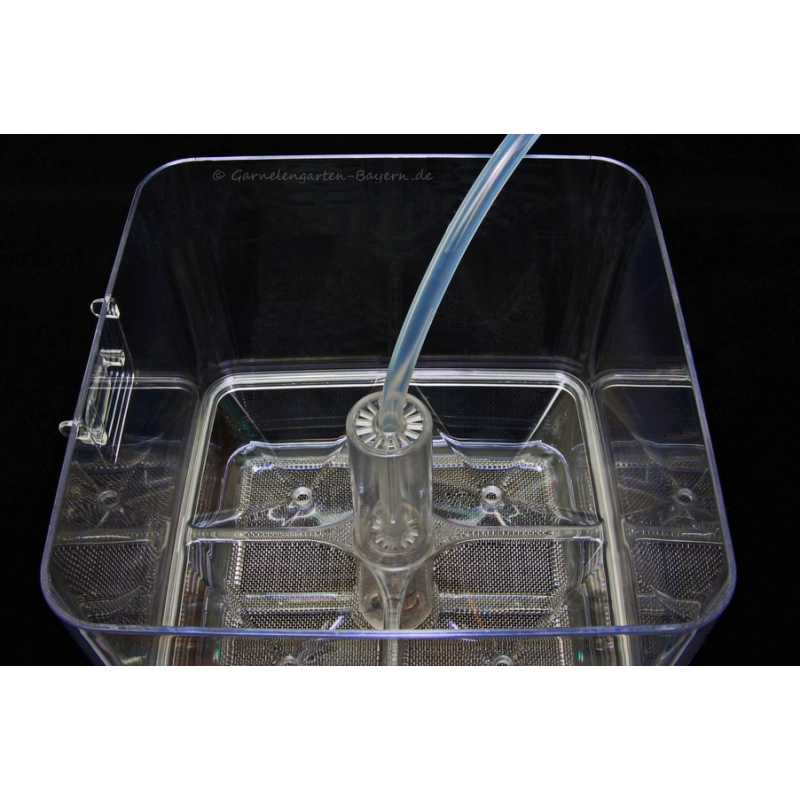 Ziss EZ Breeder GL-1T Profi Breedingbox - garnelensicher Ziss EZ Breeder GL-1T Profi Breedingbox - garnelensicher