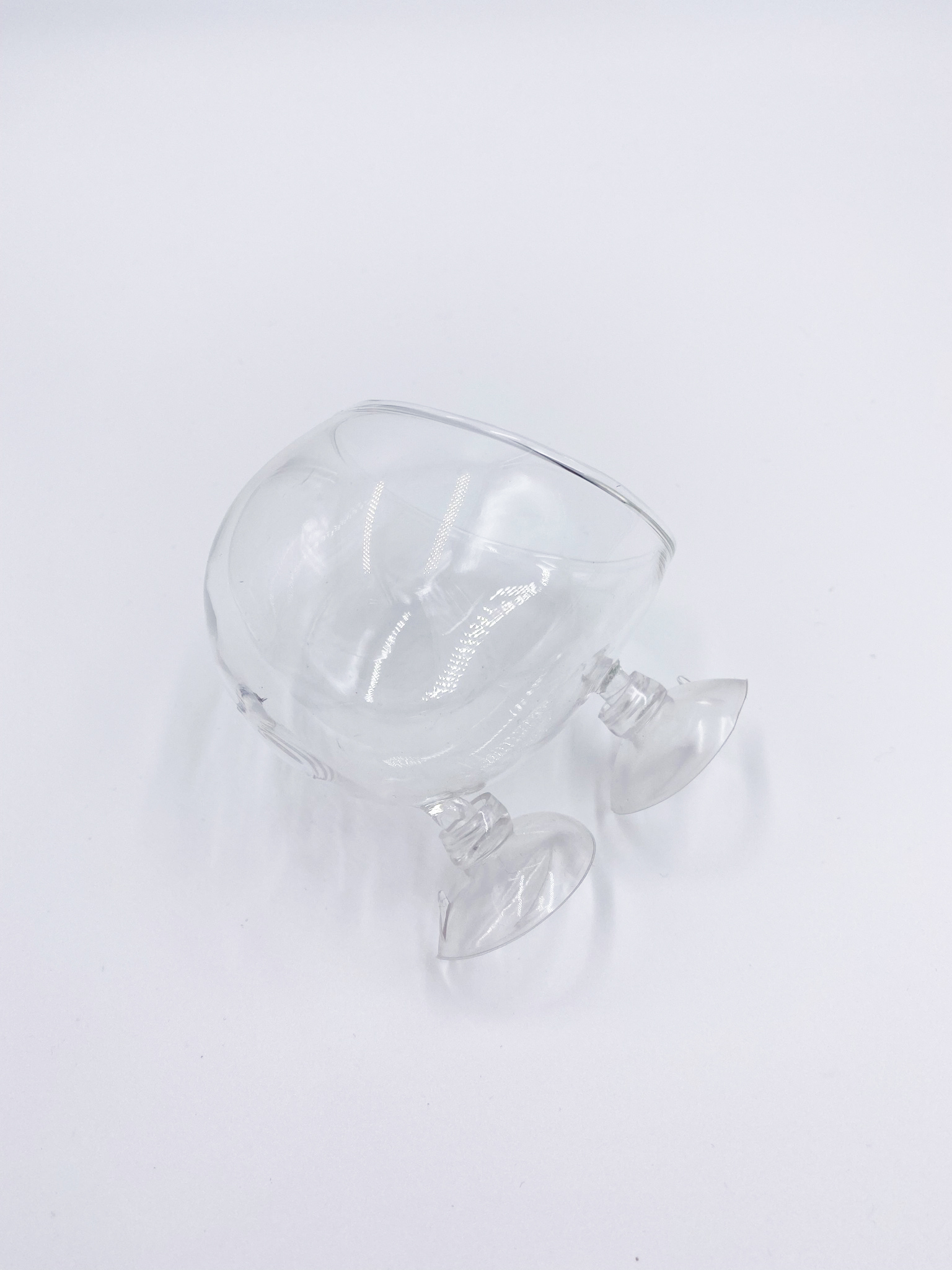 Glas Pflanztopf mit Saugnäpfen - Plant Pot