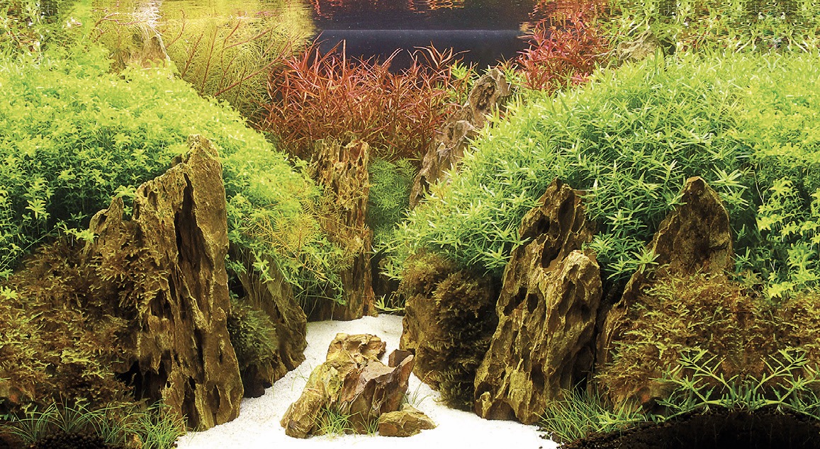 Hobby Aquarium Hintergrund Folie Canyon/Woodland 200x60cm Hobby Aquarium Hintergrund Folie Canyon/Woodland 200x60cm