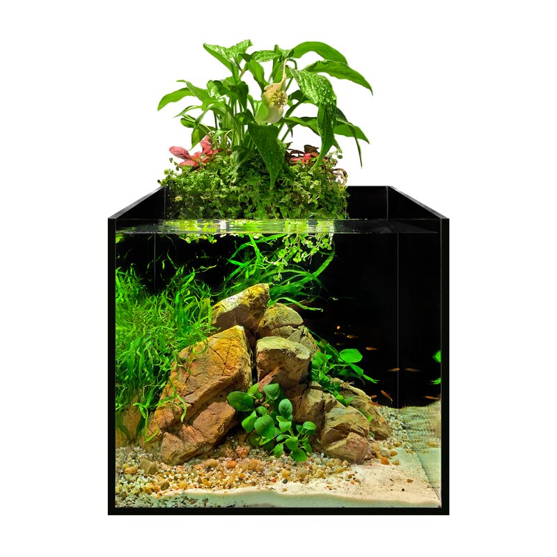 Aquarium Unterlage, neu, 30x60cm in Leipzig - Kleinzschocher