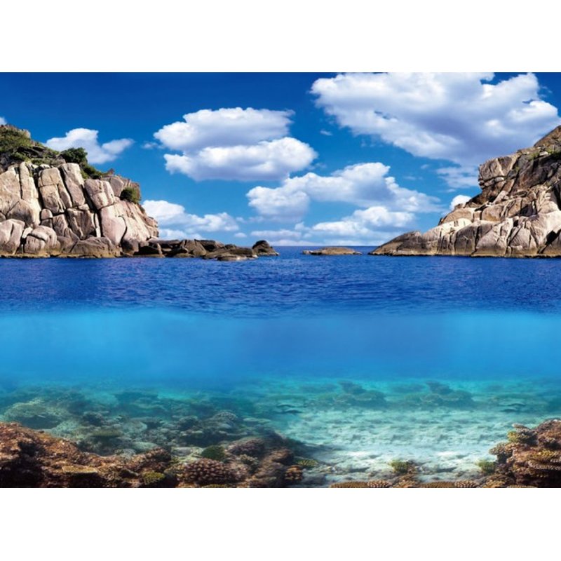 Aqua Nova Aquarium Hintergrund Folie Plants/Ocean S - 60x30 cm Aqua Nova Aquarium Hintergrund Folie Plants/Ocean S - 60x30 cm