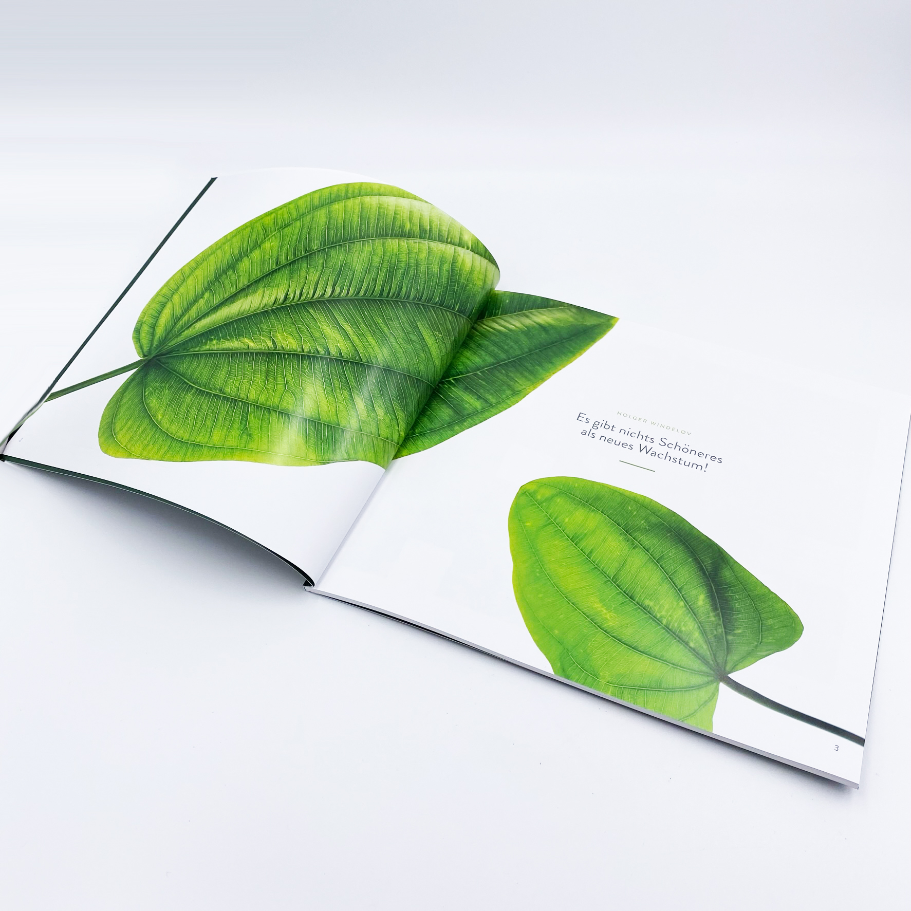 Tropica 50 Years under the Surface Buch