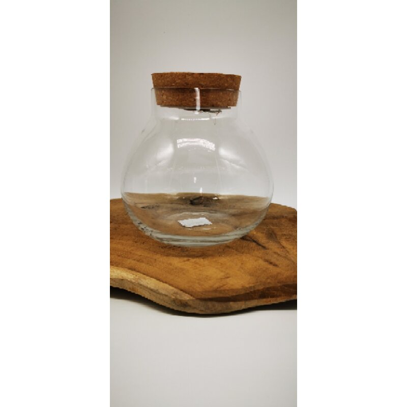 Pflanzenterrarium mit LED Licht Höhe 14 cm Ø15,5 cm Pflanzenterrarium mit LED Licht Höhe 14 cm Ø15,5 cm