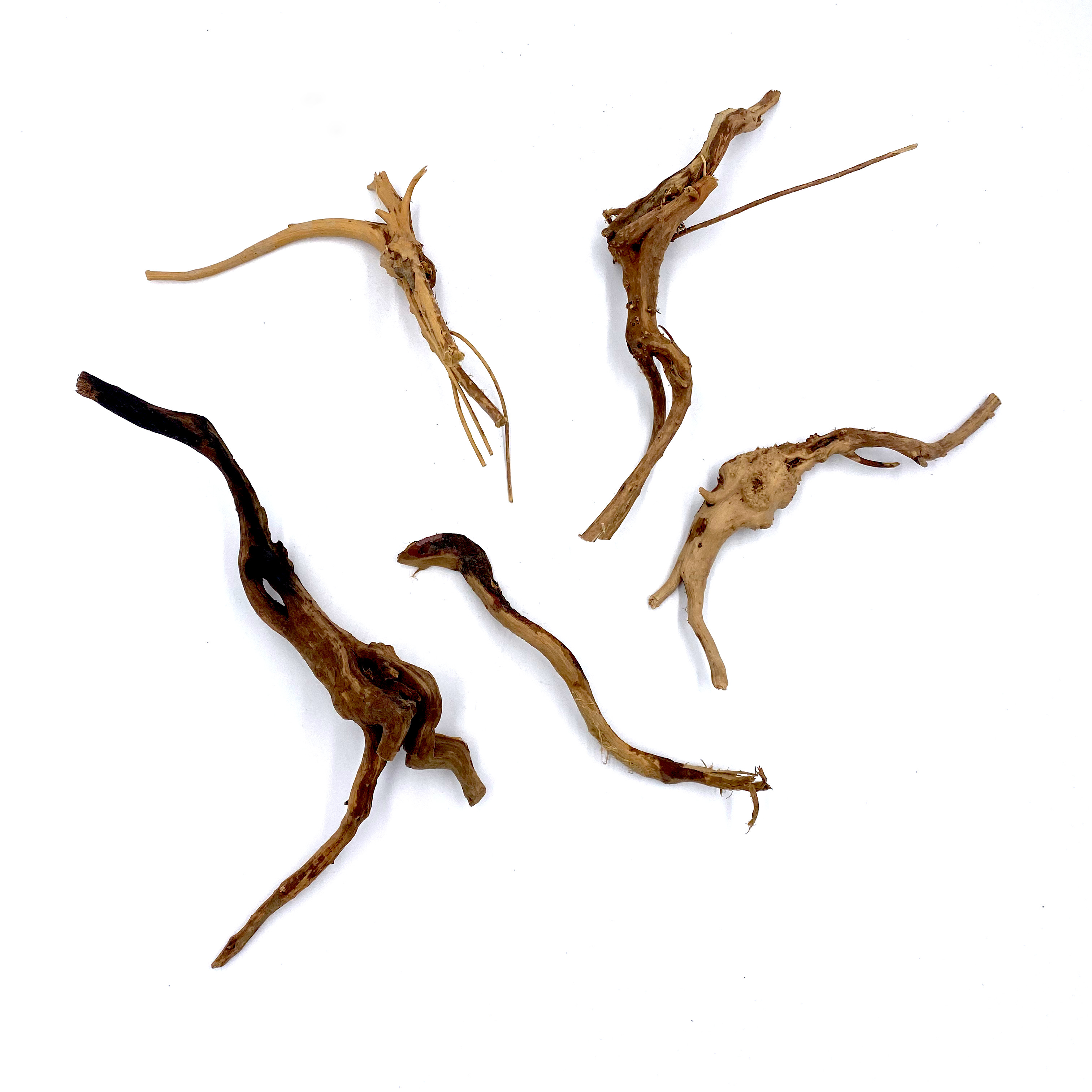 Moorwurzel - Spiderwood Äste/Wurzeln - Nano 5er Multipack Moorwurzel - Spiderwood Äste/Wurzeln - Nano 5er Multipack