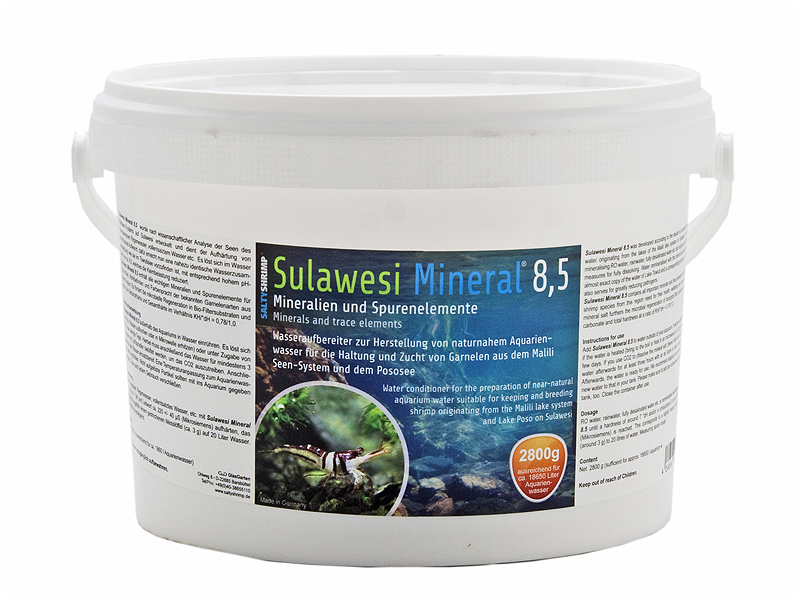 Salty Shrimp – Sulawesi Mineral 8.5 - 2800g