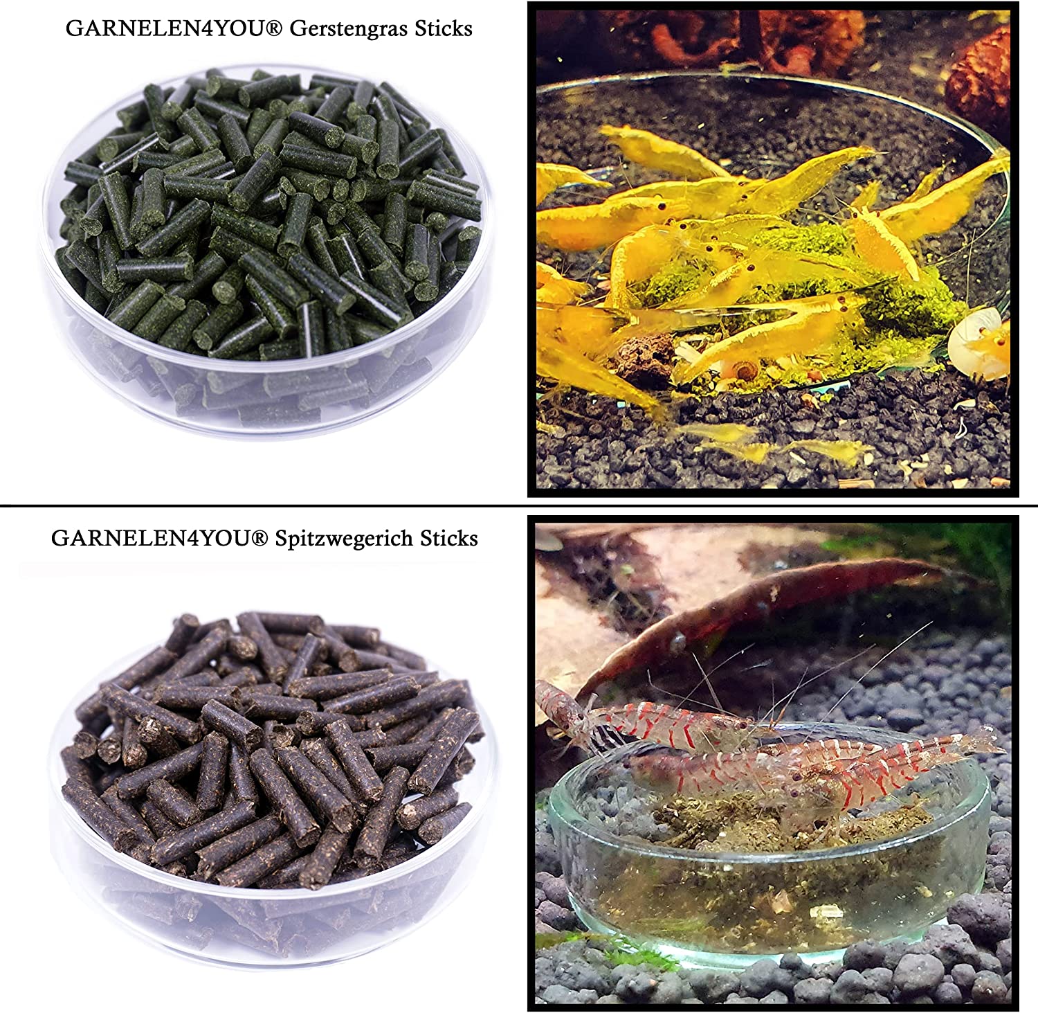 GARNELEN4YOU® 8er Probeset Futter-Sticks / Chips für Garnelen, Krebse und Schnecken | 7 Sorten Plus Seemandelbaumblätter GARNELEN4YOU® 8er Probeset Futter-Sticks / Chips für Garnelen, Krebse und Schnecken | 7 Sorten Plus Seemandelbaumblätter